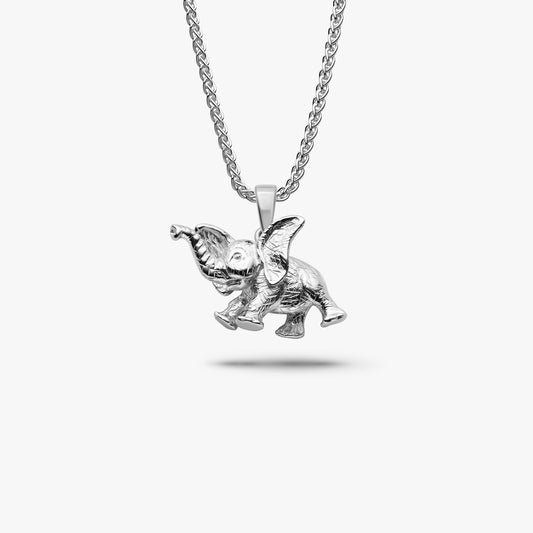 Big Eared Baby Elephant