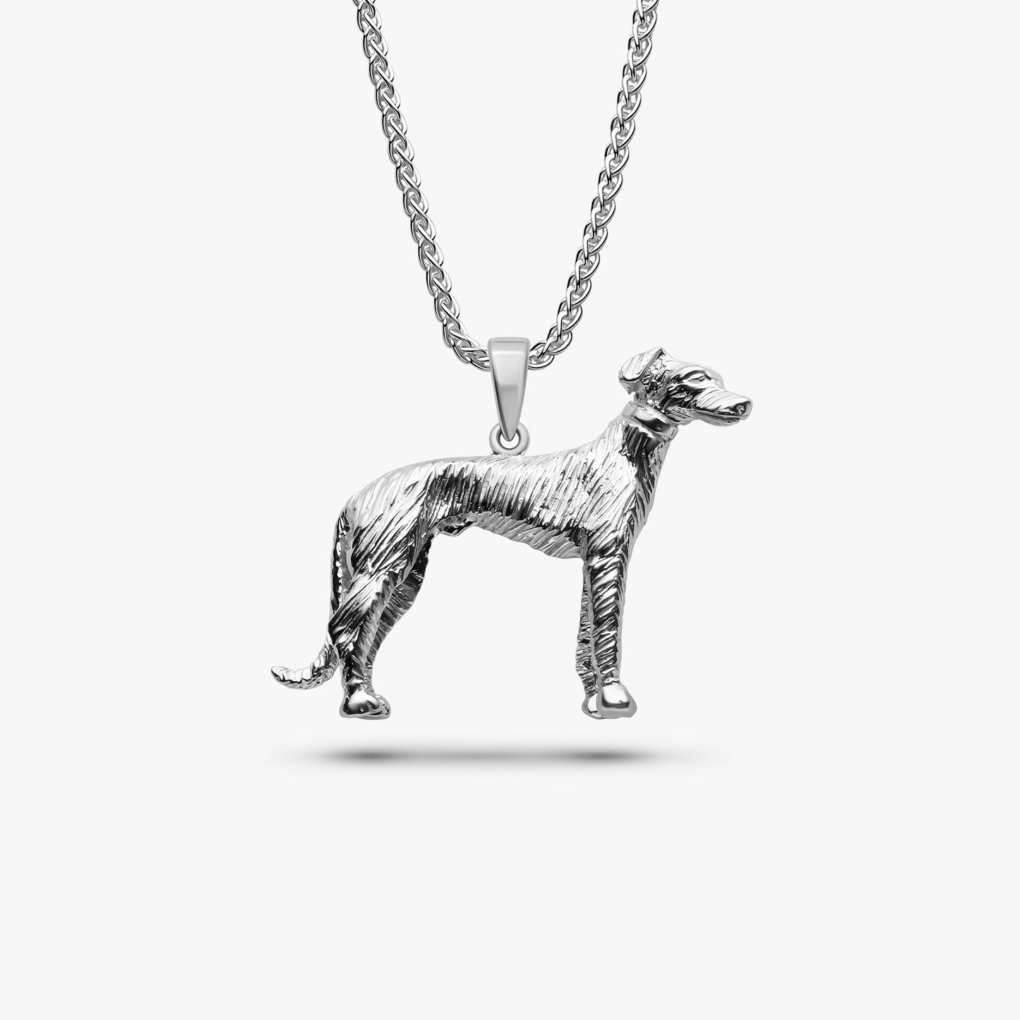 Greyhound